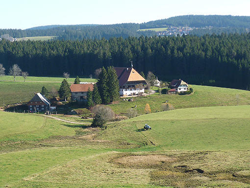 Unterfallengrundhof (“Fallerhof” aus der Fernsehserie)