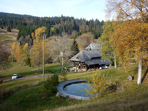 Rütte